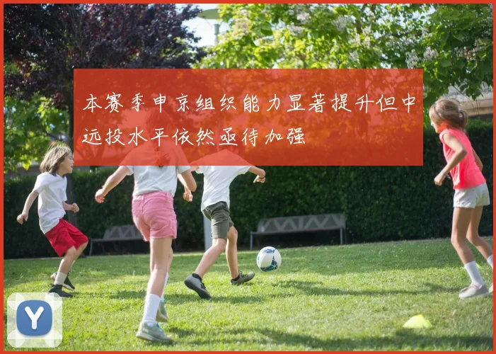本赛季申京组织能力显著提升但中远投水平依然亟待加强